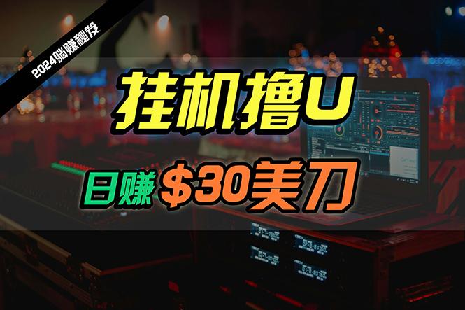 (10013期)日赚30美刀，2024最新海外挂机撸U内部项目，全程无人值守，可批量放大-策里行间
