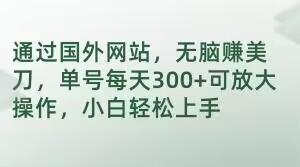 通过国外网站，无脑赚美刀，单号每天300+可放大操作，小白轻松上手【揭秘】-策里行间