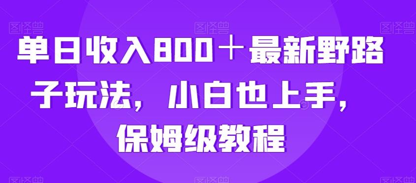 单日收入800＋最新野路子玩法，小白也上手，保姆级教程-策里行间