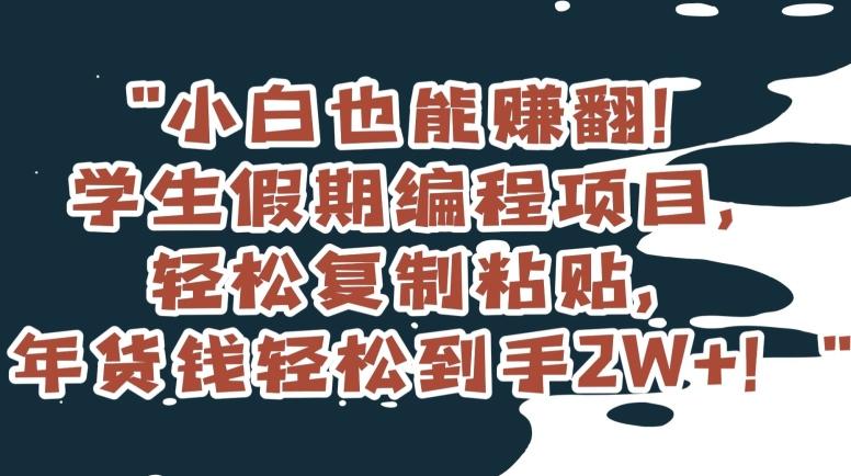 小白也能赚翻！学生假期编程项目，轻松复制粘贴，年货钱轻松到手2W+【揭秘】-策里行间