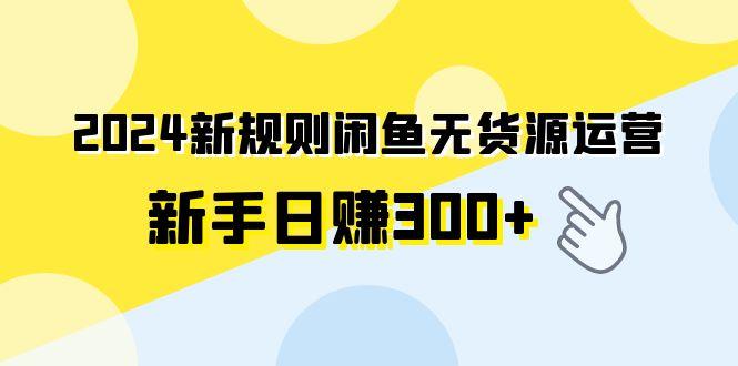 (9522期)2024新规则闲鱼无货源运营新手日赚300+-策里行间