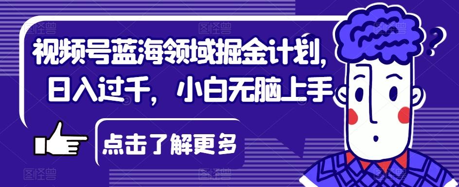视频号蓝海领域掘金计划，日入过千，小白无脑上手【揭秘】-策里行间