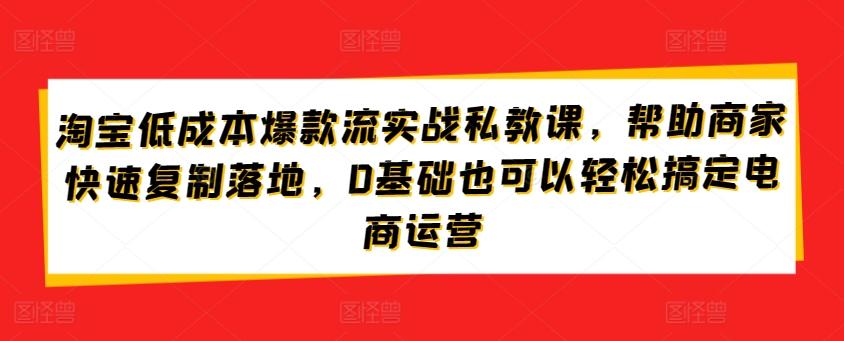 淘宝低成本爆款流实战私教课，帮助商家快速复制落地，0基础也可以轻松搞定电商运营-策里行间