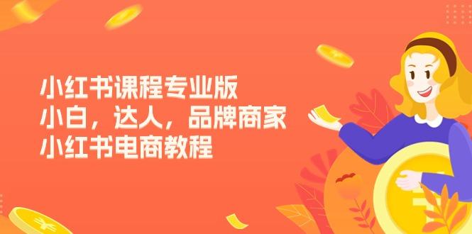 小红书课程专业版，小白，达人，品牌商家，小红书电商教程(15节-策里行间