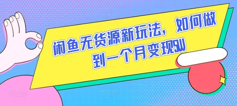 闲鱼无货源新玩法，如何做到一个月变现5W【揭秘】-策里行间