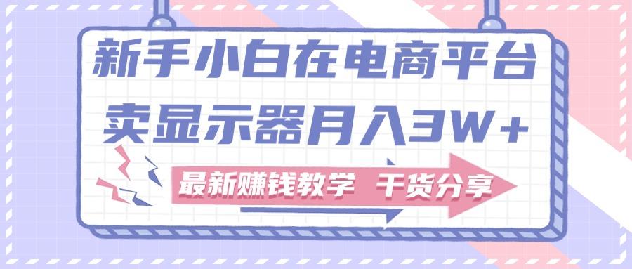 新手小白如何做到在电商平台卖显示器月入3W+，最新赚钱教学干货分享-策里行间