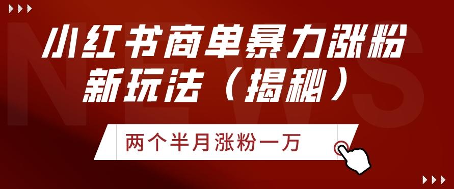 小红书商单暴力涨粉新玩法两个半月涨粉一万（揭秘）-策里行间