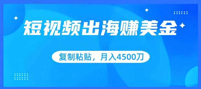 短视频出海赚美金，复制粘贴批量操作，小白轻松掌握，月入4500美刀【揭秘】-策里行间
