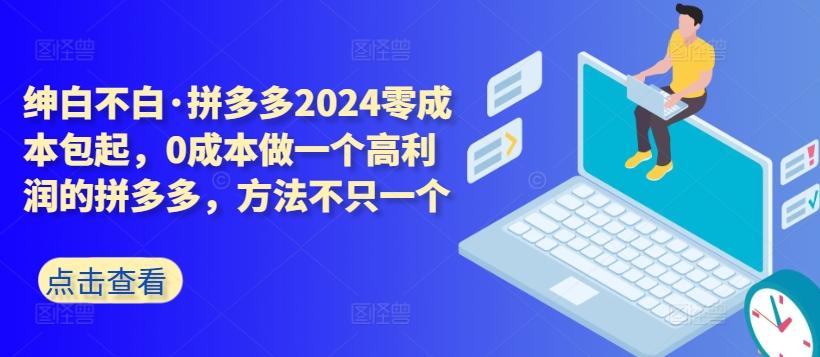拼多多2024零成本包起，0成本做一个高利润的拼多多，方法不只一个-策里行间