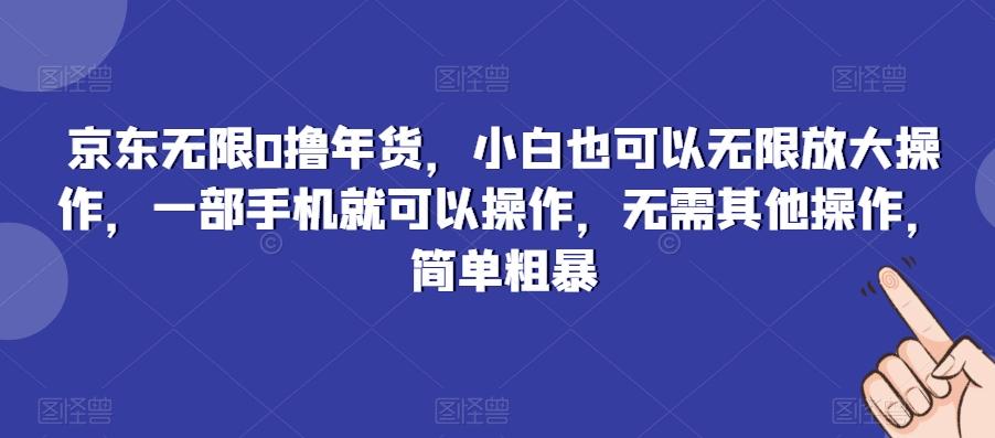 京东无限0撸年货，小白也可以无限放大操作，一部手机就可以操作，无需其他操作，简单粗暴-策里行间