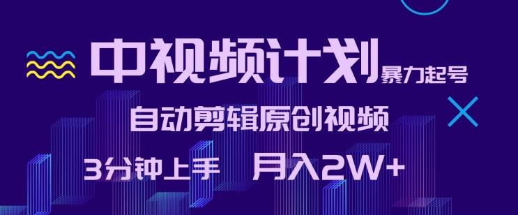 中视频计划暴力起号，自动剪辑原创视频，3分钟上手，月入2W+【揭秘】-策里行间