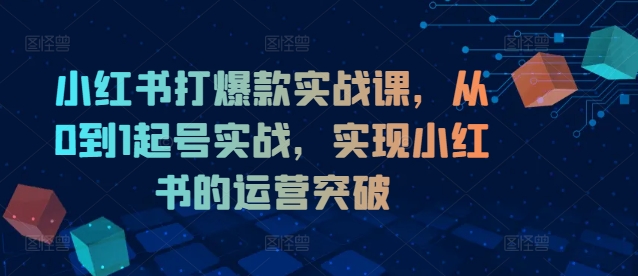 小红书打爆款实战课，从0到1起号实战，实现小红书的运营突破-策里行间
