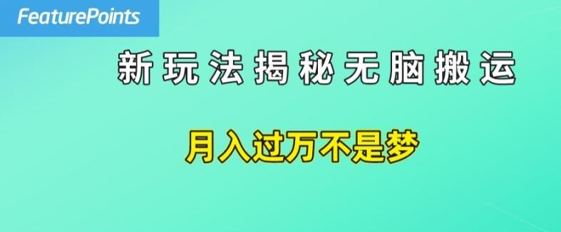 简单操作，每天50美元收入，搬运就是赚钱的秘诀【揭秘】-策里行间