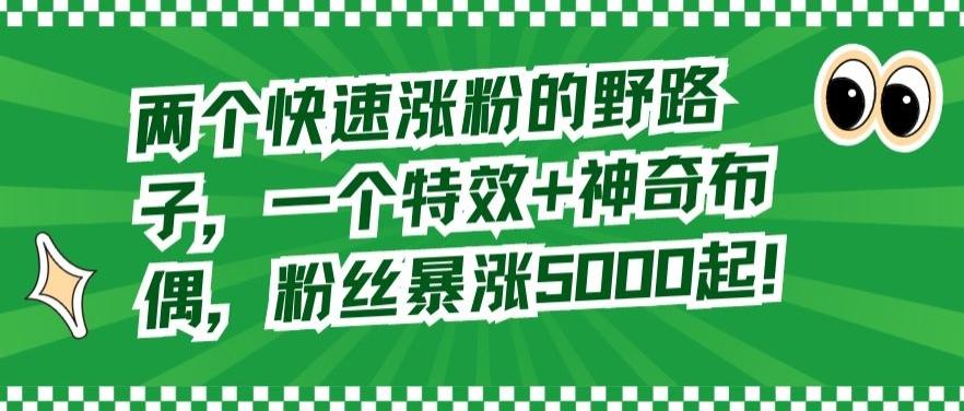 两个快速涨粉的野路子，一个特效+神奇布偶，粉丝暴涨5000起【揭秘】-策里行间
