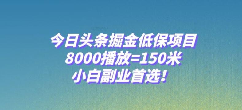 今日头条掘金低保项目，8000播放=150米，小白副业首选【揭秘】-策里行间