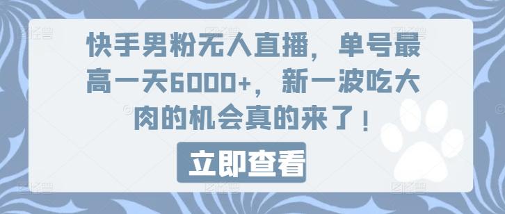 快手男粉无人直播，单号最高一天6000+，新一波吃大肉的机会真的来了-策里行间