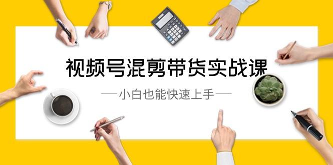 视频号混剪带货实战课，小白也能快速上手（10节课）-策里行间