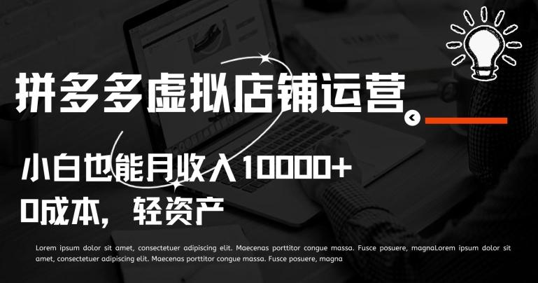 拼多多虚拟店铺运营小白也能月收入10000+【揭秘】-策里行间