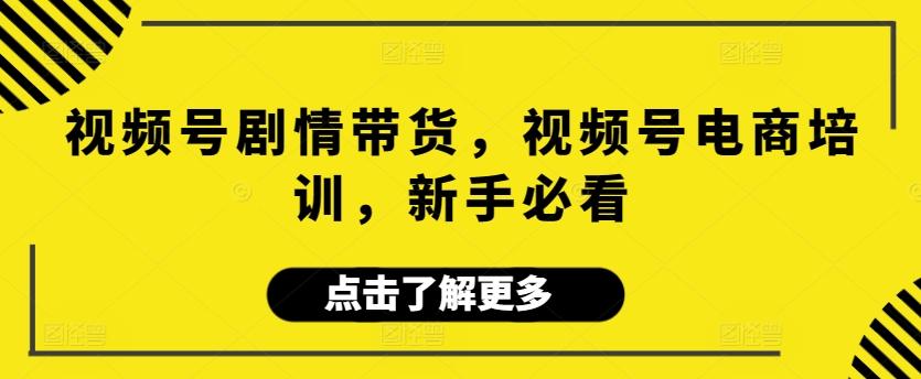 视频号剧情带货，视频号电商培训，新手必看-策里行间