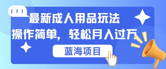 最新成人用品项目玩法，操作简单，动动手，轻松日入几张【揭秘】-策里行间