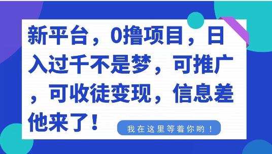 不要再花冤枉钱了，0撸项目，每天坚持，稳定1000+-策里行间