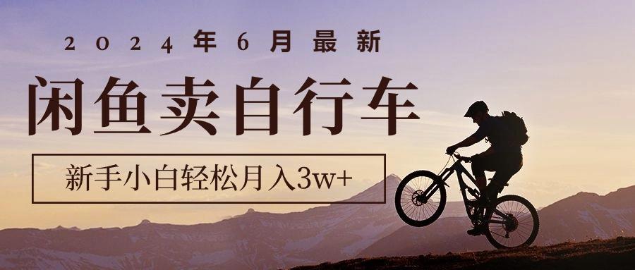 2024年6月最新闲鱼卖自行车，新手小白轻松月入3w+项目-策里行间