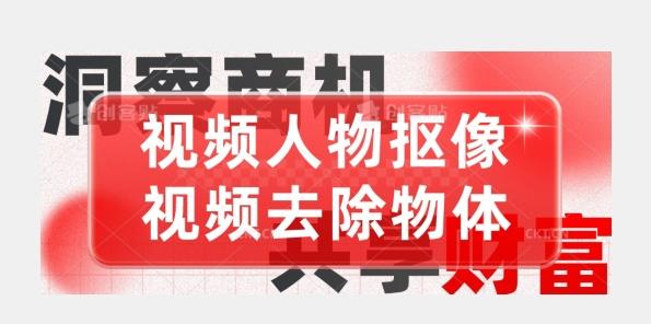 【超强视频处理工具】视频人物抠像+视频去除物体-策里行间