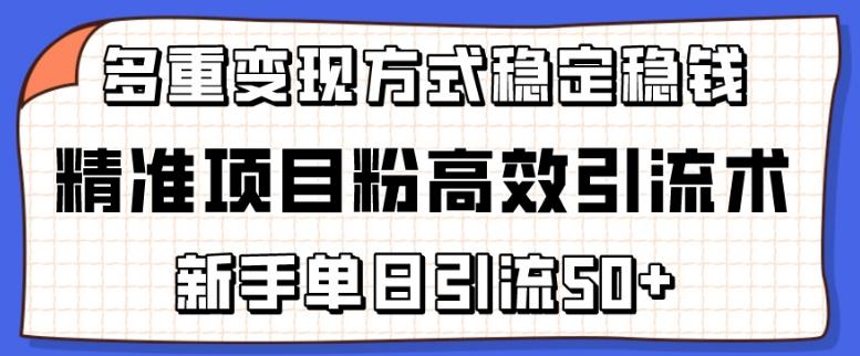 精准项目粉高效引流术，新手单日引流50+，多重变现方式稳定赚钱【揭秘】-策里行间