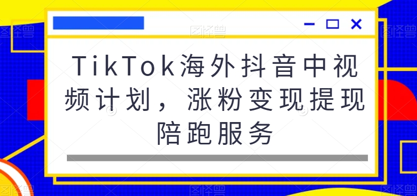 TikTok海外抖音中视频计划，涨粉变现提现陪跑服务-策里行间