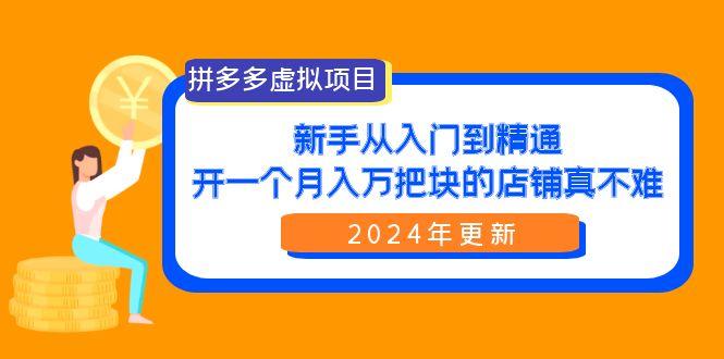 (9744期)拼多多虚拟项目：入门到精通，开一个月入万把块的店铺 真不难(24年更新)-策里行间