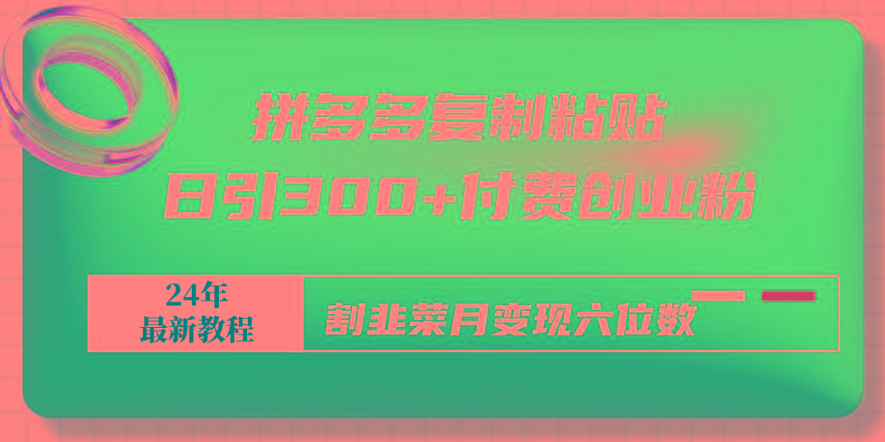 拼多多复制粘贴日引300+付费创业粉，割韭菜月变现六位数最新教程！-策里行间