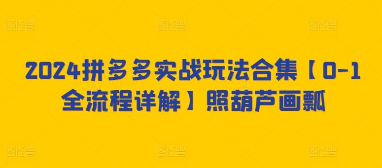 2024拼多多实战玩法合集【0-1全流程详解】照葫芦画瓢-策里行间