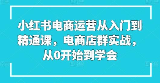 小红书电商运营从入门到精通课，电商店群实战，从0开始到学会-策里行间