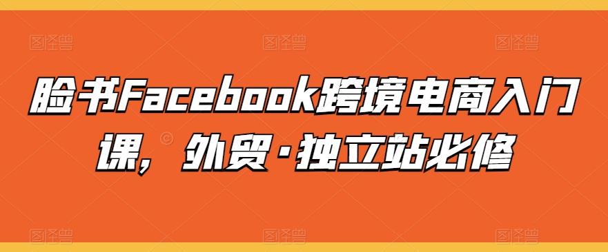 脸书Facebook跨境电商入门课，外贸·独立站必修-策里行间