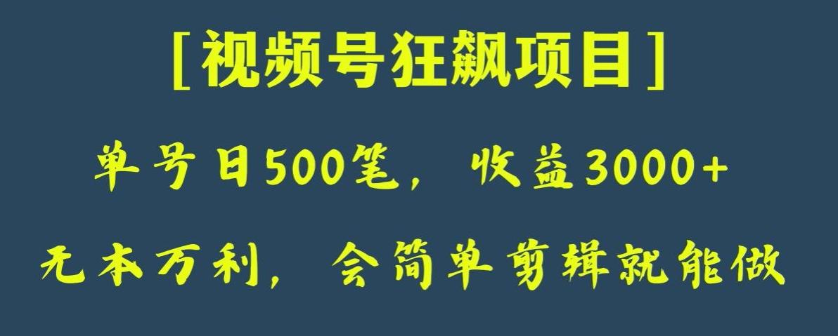 日收款500笔，纯利润3000+，视频号狂飙项目，会简单剪辑就能做【揭秘】-策里行间