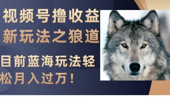 视频号撸收益新玩法之狼道，目前蓝海玩法，轻松月入过万【揭秘】-策里行间