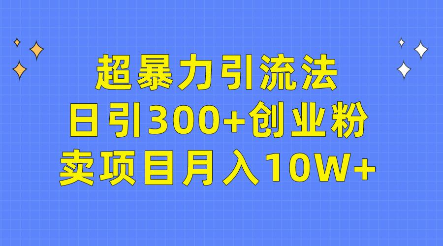 (9954期)超暴力引流法，日引300+创业粉，卖项目月入10W+-策里行间