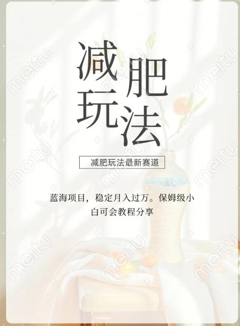 减肥流量主新玩法，轻松月入1W，可矩阵操作收入翻倍-策里行间