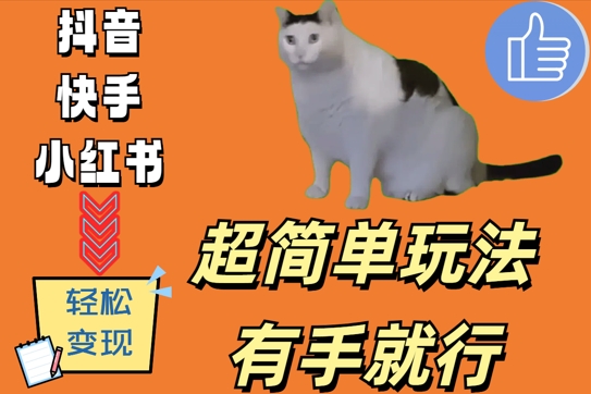 超简单玩法，有手就行，靠猫咪视频日入500+【揭秘】-策里行间