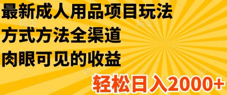 最新成人用品项目玩法，方式方法全渠道，轻松日入2K+【揭秘】-策里行间