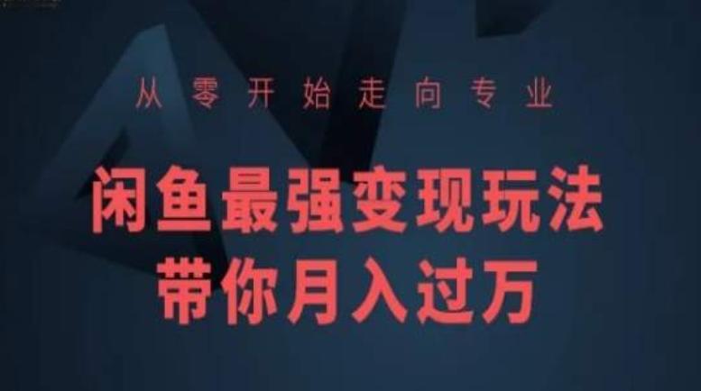 从零开始走向专业，闲鱼最强变现玩法带你月入过万-策里行间