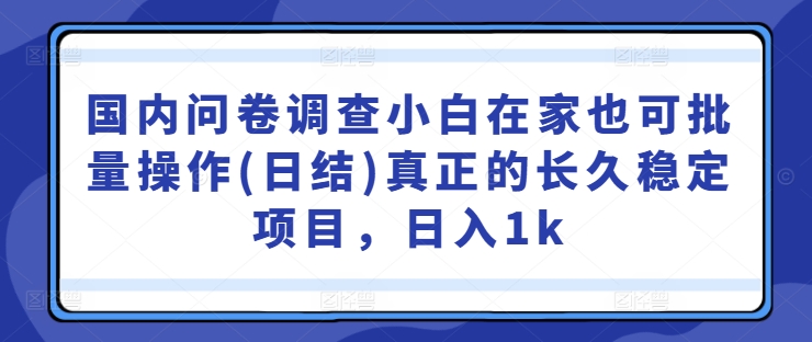 国内问卷调查小白在家也可批量操作(日结)真正的长久稳定项目，日入1k【揭秘】-策里行间