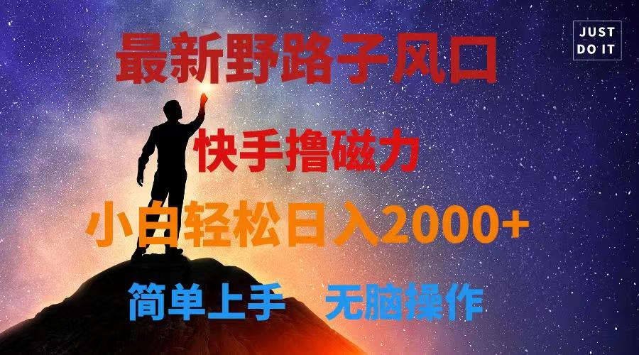 最新风口！快手撸磁力，野路子，小白无脑操作日入2000+-策里行间