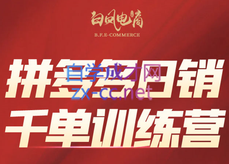 白凤电商学院·拼多多日销千单训练营(更新7月)-策里行间