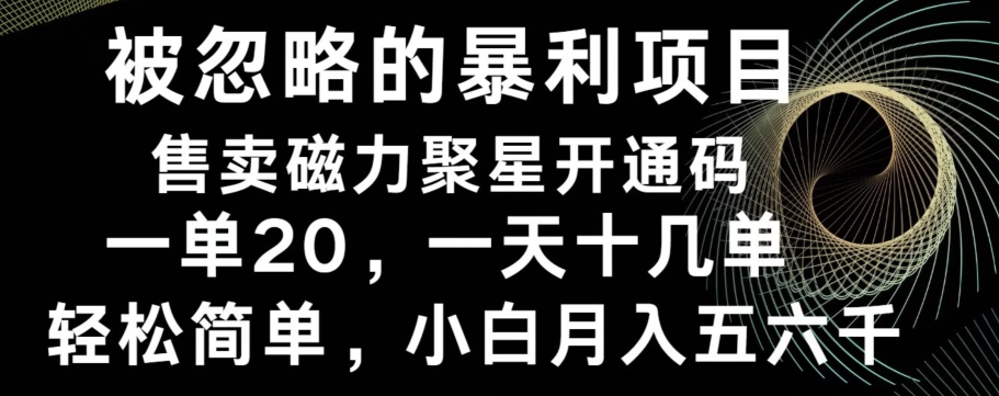 被忽略的暴利项目！售卖磁力聚星开通码，一单20，一天十几单，轻松月入五六千-策里行间