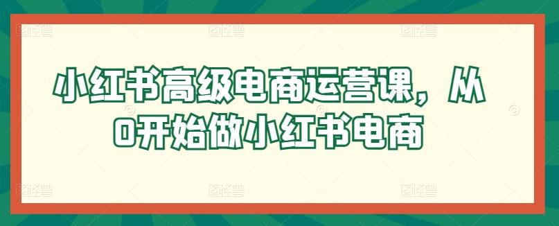 小红书高级电商运营课，从0开始做小红书电商-策里行间