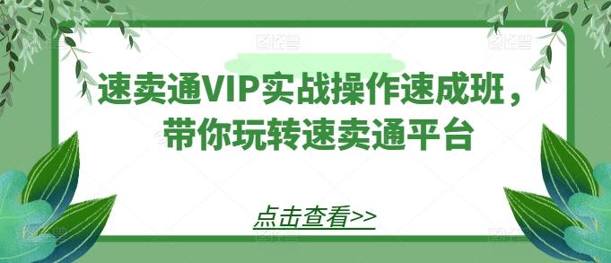 速卖通VIP实战操作速成班，带你玩转速卖通平台-策里行间