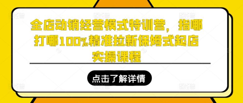 全店动销经营模式特训营，指哪打哪100%精准拉新保姆式起店实操课程-策里行间