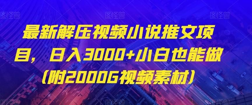 最新解压视频小说推文项目，日入3000+小白也能做（附2000G视频素材）【揭秘】-策里行间