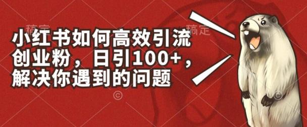 小红书如何高效引流创业粉，日引100+，解决你遇到的问题【揭秘】-策里行间